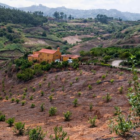 Las Casas De Lola Y Rafael Moya  ภายนอก รูปภาพ