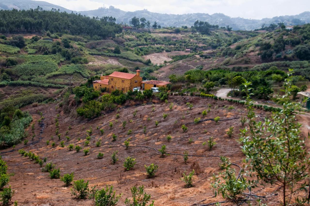 Las Casas De Lola Y Rafael Moya  ภายนอก รูปภาพ